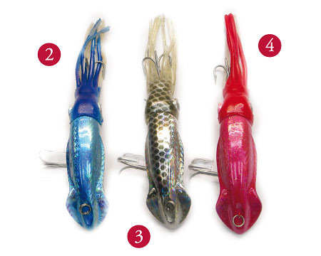 squid2.jpg