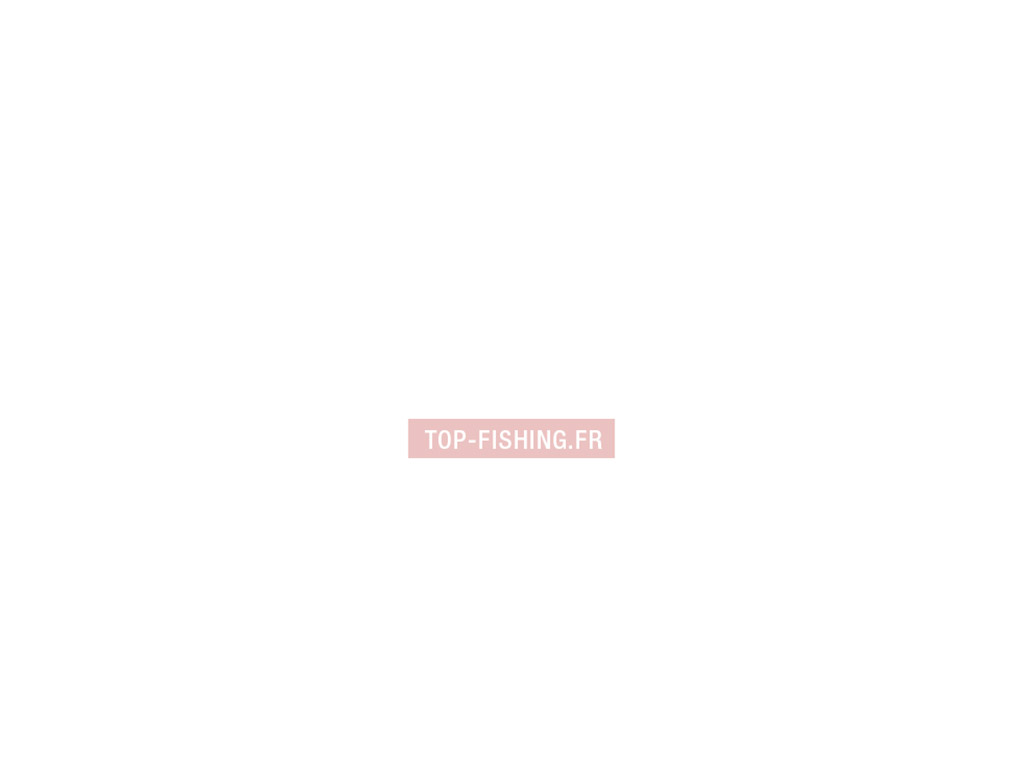 t-te-transparente-savagear-4play-lipsculls-2.jpg