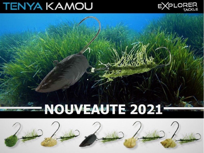 tenya-explorer-tackle-kamou-30g-7.jpg
