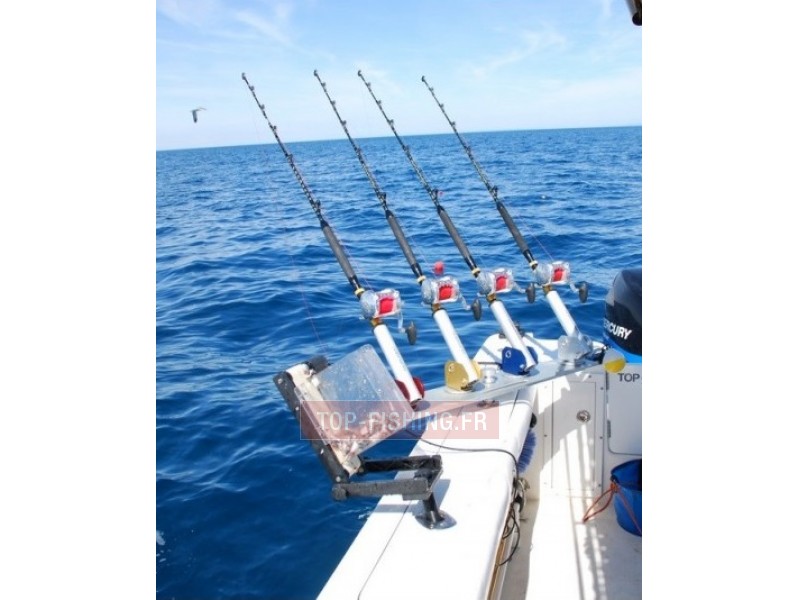 top-sea-distributeur-de-sardine-2.jpg