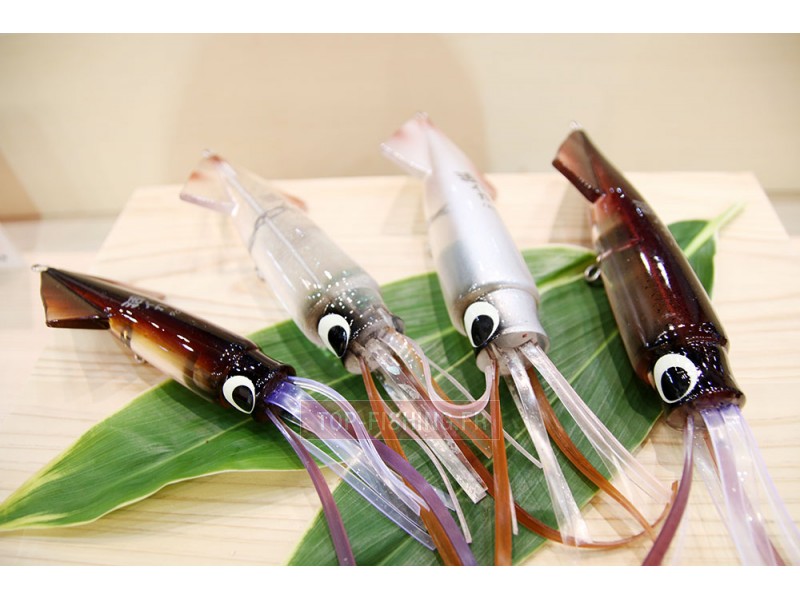 top-sea-live-squid-a-l-efftex.jpg