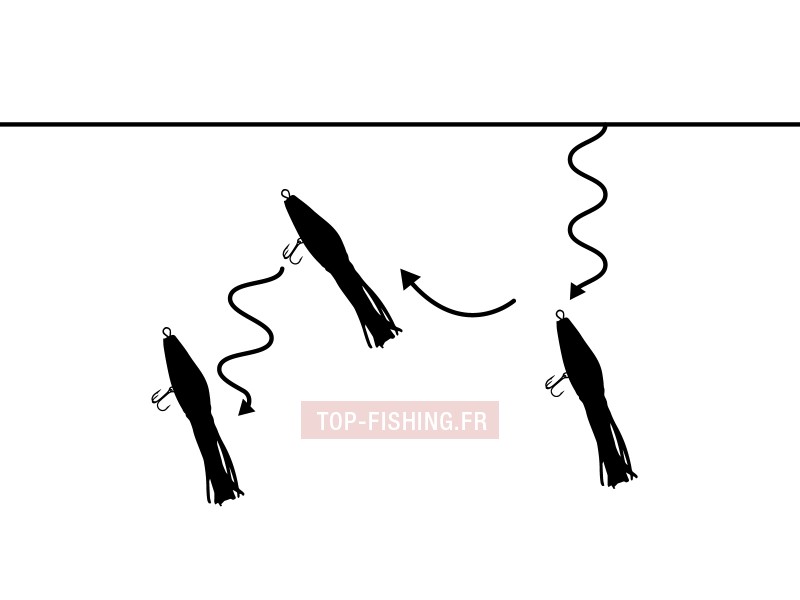 top-sea-live-squid-action.jpg