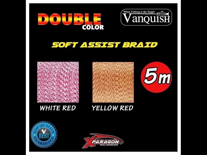 tresse-assist-braid-x-paragon-double-color.jpg