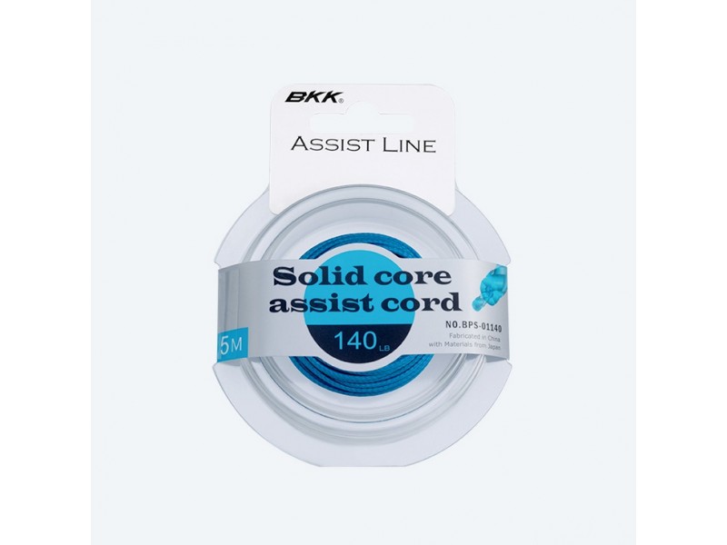 tresse-pour-assist-bkk-solid-core-5m.jpg