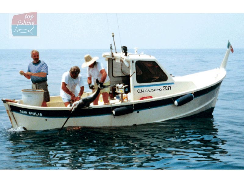 treuil-xl-310-peche.jpg