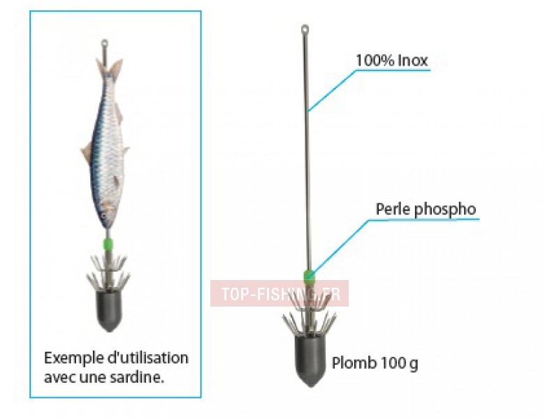 turlutte-aiguille-plombee-flashmer-2.jpg