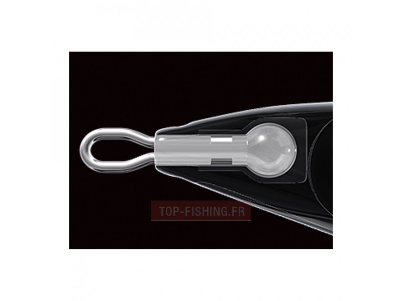 turlutte-aurie-q-rs-6.jpg