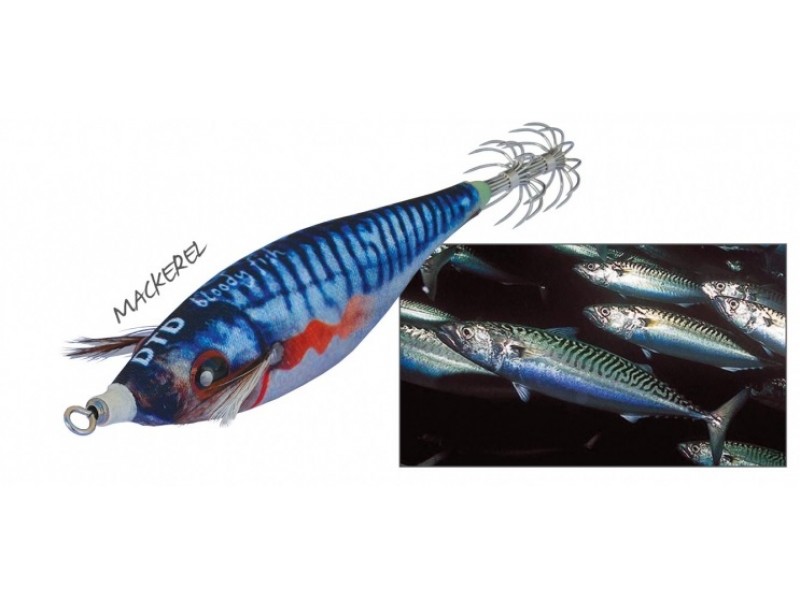 turlutte-dtd-bloody-fish-mackerel.jpg