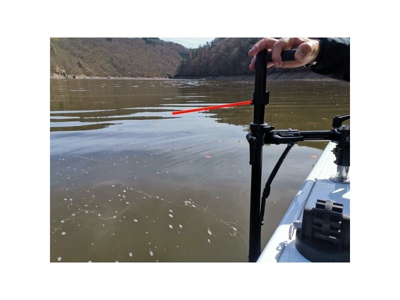 Viseur Perche De Sonde Live Pike'n Bass