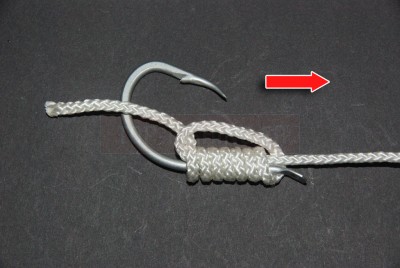 Avant de serrer le nœud, pensez à bien l\'humecter de salive. Tirez sur le brin comme indiqué afin de résorber la boucle et de pré-serrer le nœud (celui-ci doit encore pouvoir coulisser mais sans se défaire) (flèche rouge dirigée vers la droite au dessus du brin droit montrant sens de la tirée)