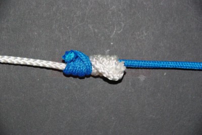 Coupez l\'excédent des brins libres.