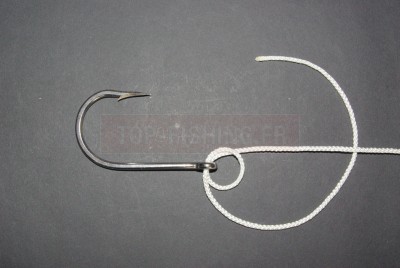 Prenez de 10 à 15 cm de fil selon son épaisseur et passez le sous la ligne mère.   * Veillez à conserver la petite boucle devant l\'œillet en la maintenant entre deux doigts.