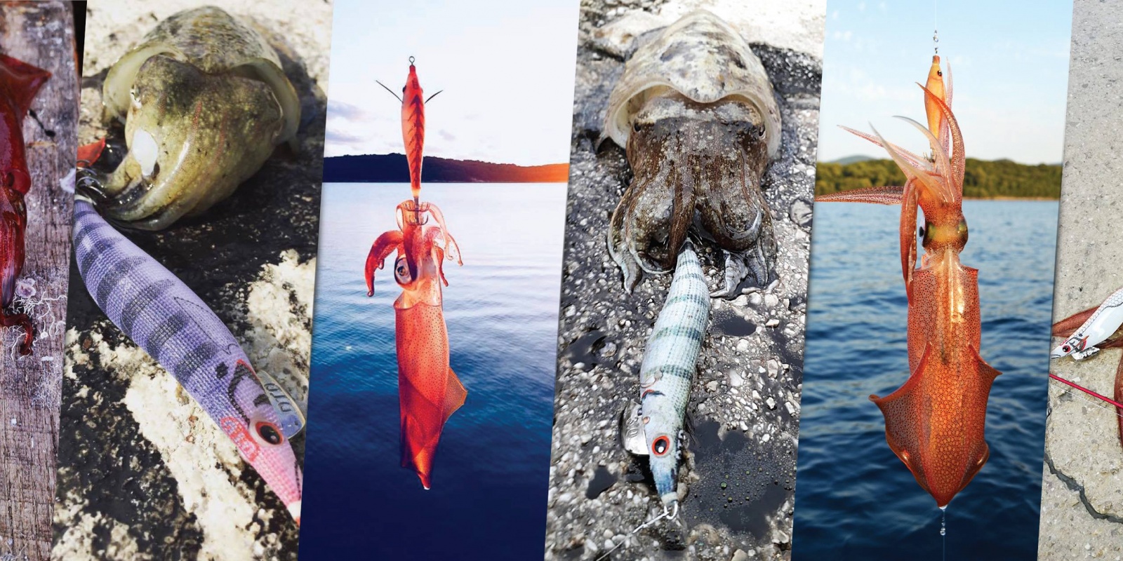 "DTD" est un des rares fabricants européens de matériel de pêche de haute qualité.