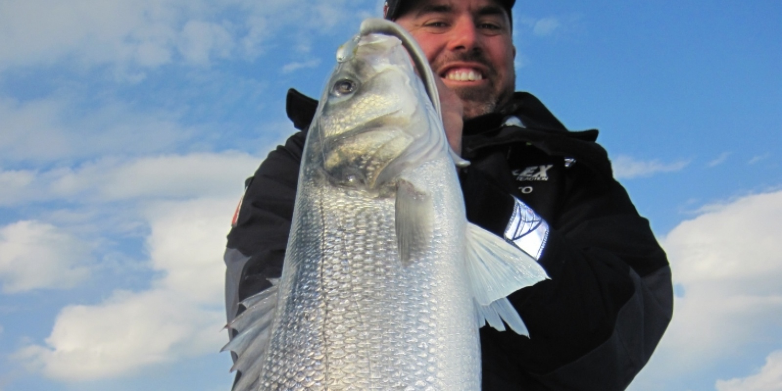 Pêche au loup avec pure fishing