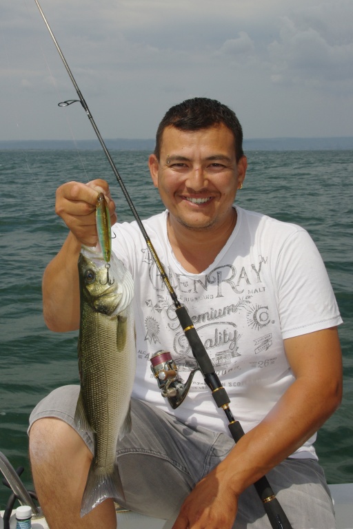 Le 3DB Pencil est si sonore qu’il fait bouger les poissons de très loin !