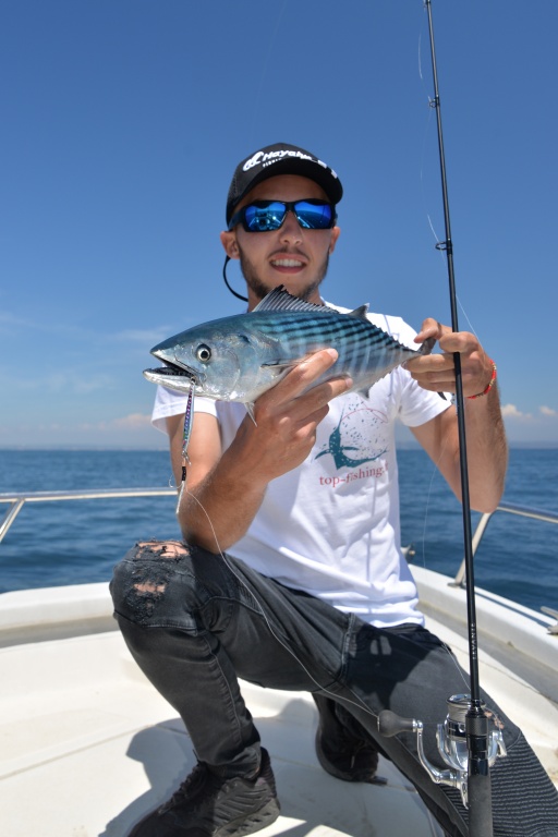 Ace Hayabusa : un vrai coup de cœur Top Fishing !