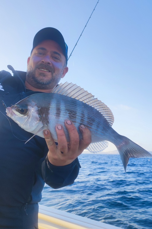 Magnifique dorade grise (tanude) prise au Fireball Top Sea