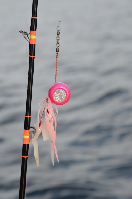 Pour la pêche du merlu, il est possible de booster vos madaï jigs avec des lanières de calamar !