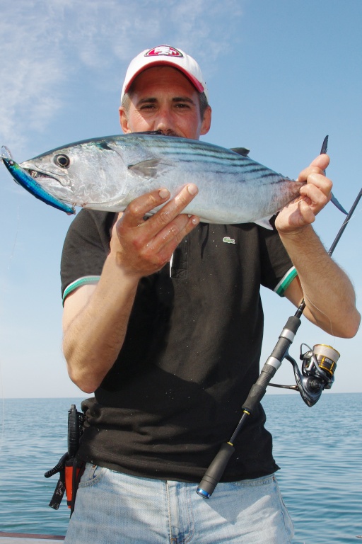 Une autre pélamide qui n’a pu résister au Crystal 3D Minnow SP Yo-Zuri !