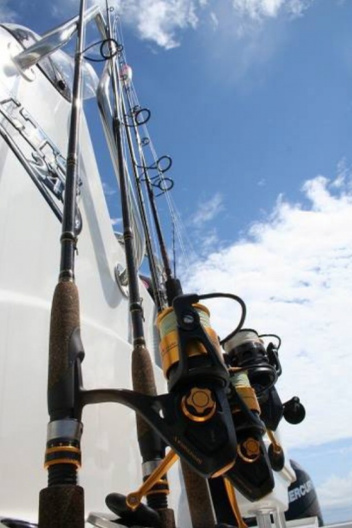 Penn Spinfisher tresse WFT.