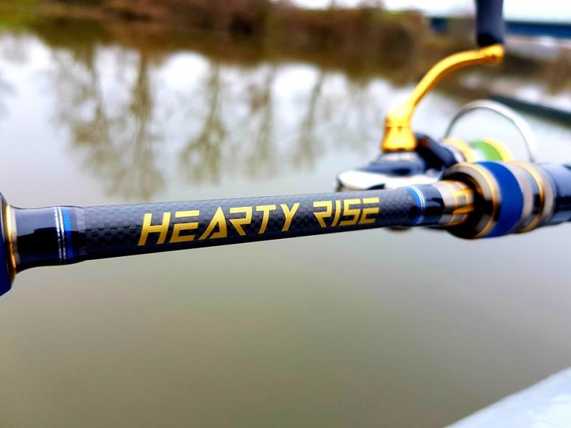 La Gamme Bass Force Elite Verticale spinning