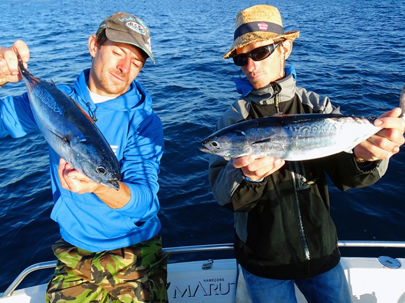 Pour les pêches aux leurres, l’Ace Seaguar est un classique incontournable en matière de fluorocarbone !