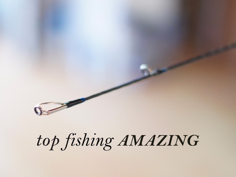 Canne Amazing C631 Top Fishing : un must pour la pêche au tenya !
