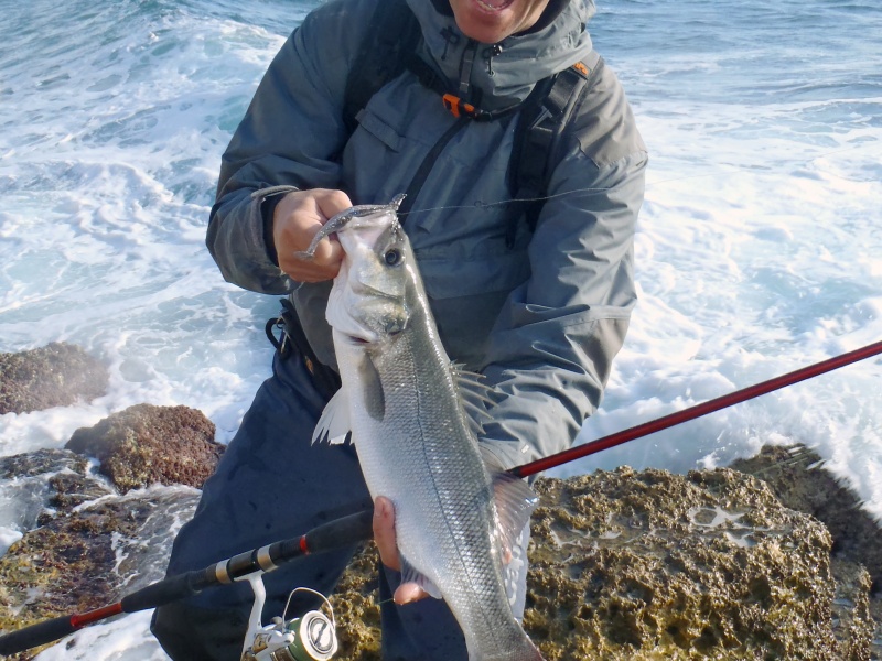 Joli bar pris avec un shad monté sur une tête plombée texane !