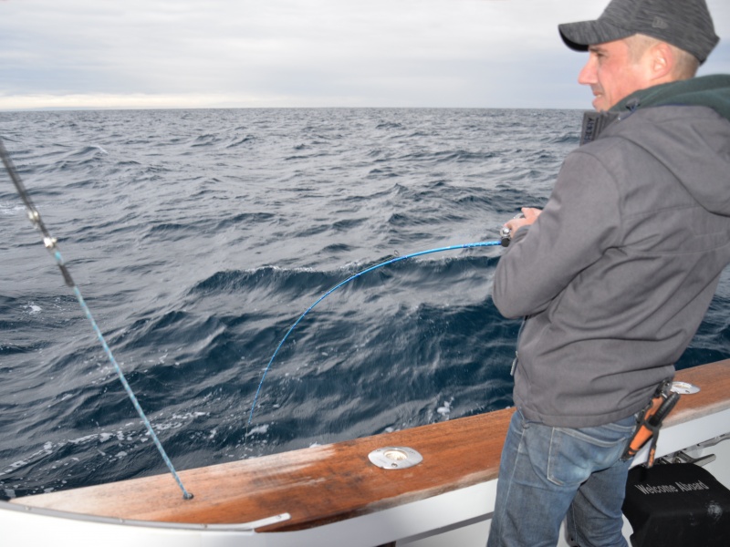 La canne Jig Light Italcanna est parfaite pour pêcher le merlu aux madaï jigs ou à l’inchiku !