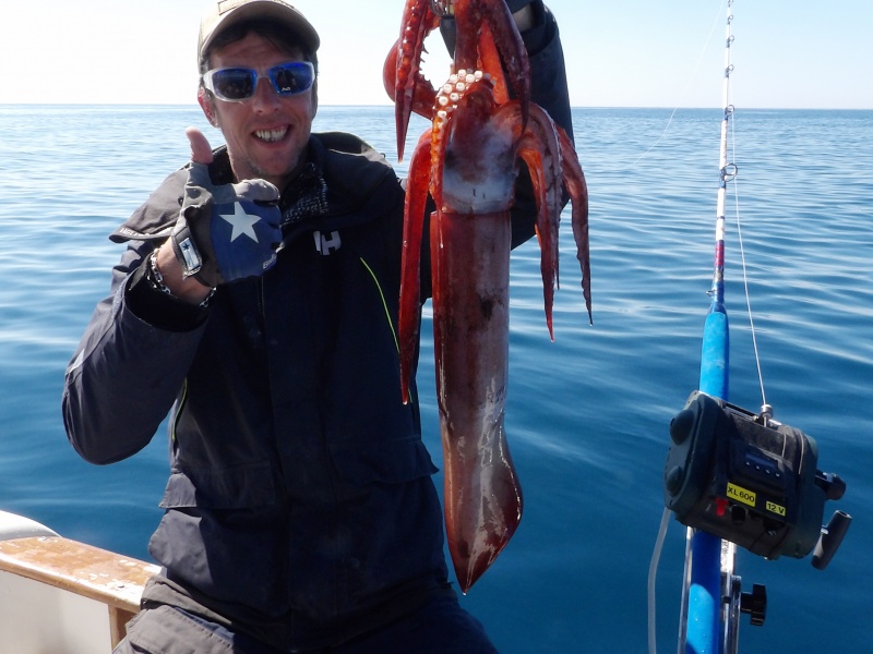 Calamar pris par Fabien Harbers en jiggant une turlutte plombée lumineuse avec le moulinet électrique XL 600 Kristal Fishing description