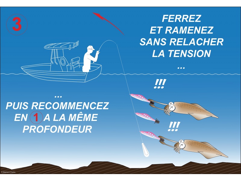 Aucune description