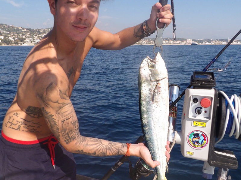 Très polyvalent, le downrigger permet aussi de pêcher les coryphènes !