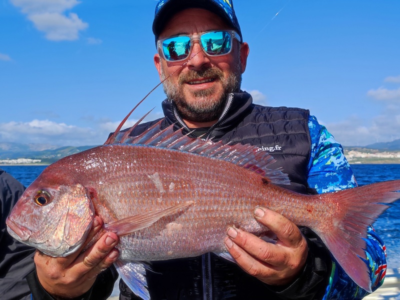Associés à un Fireball Top Sea, le calamar ou la seiche sont redoutables sur les sparidés carnassiers