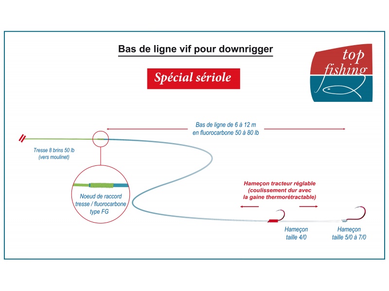 Le bas de ligne qu’utilise le guide Fabien Harbers pour la pêche de la sériole au downrigger