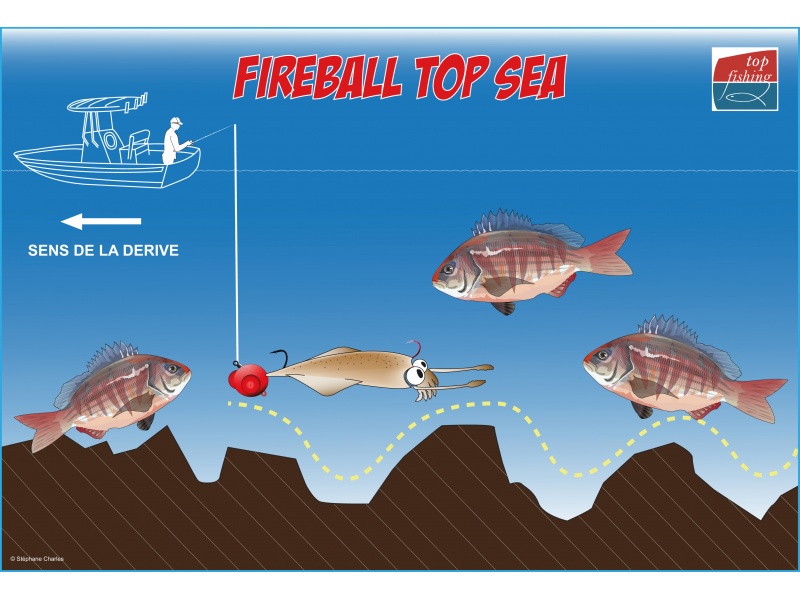 Le moniteur guide de pêche Fabien Harbers avec un magnifique denté rose pris au Fireball Top Sea !
