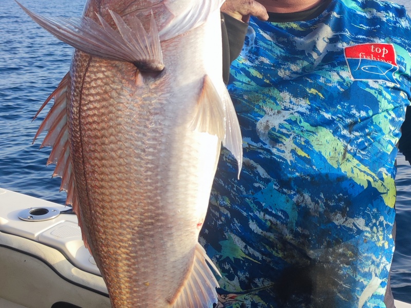 Le Fireball Top Sea est hyper efficace sur les beaux sparidés carnassiers