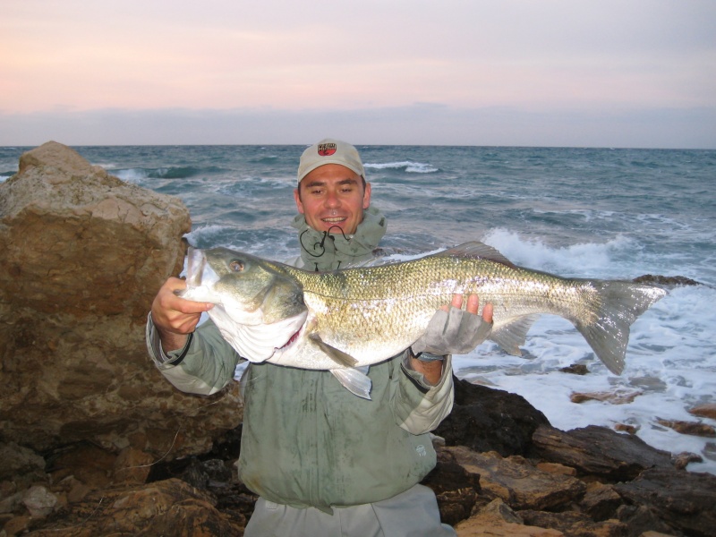 7,6 kg pour…85 cm. Un loup de section très large pris au jerkbait. Pour information, Remi fait 1,85 m