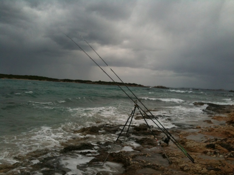 Par mer agitée et en pêche au dessus du fond, privilegiez les aberdeens