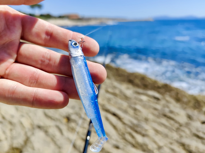 Le Black Minnow est devenu un classique quelques mois après sa sortie
