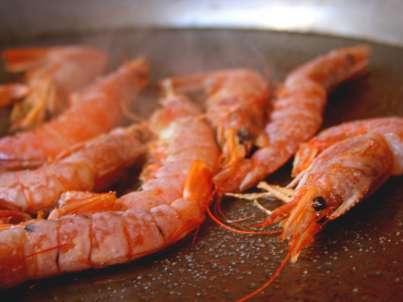 Gambas, l'appât le plus à même de faire sortir un chapon