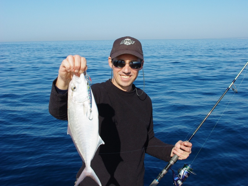 Les petites serioles réagissent bien a la technique du light jigging