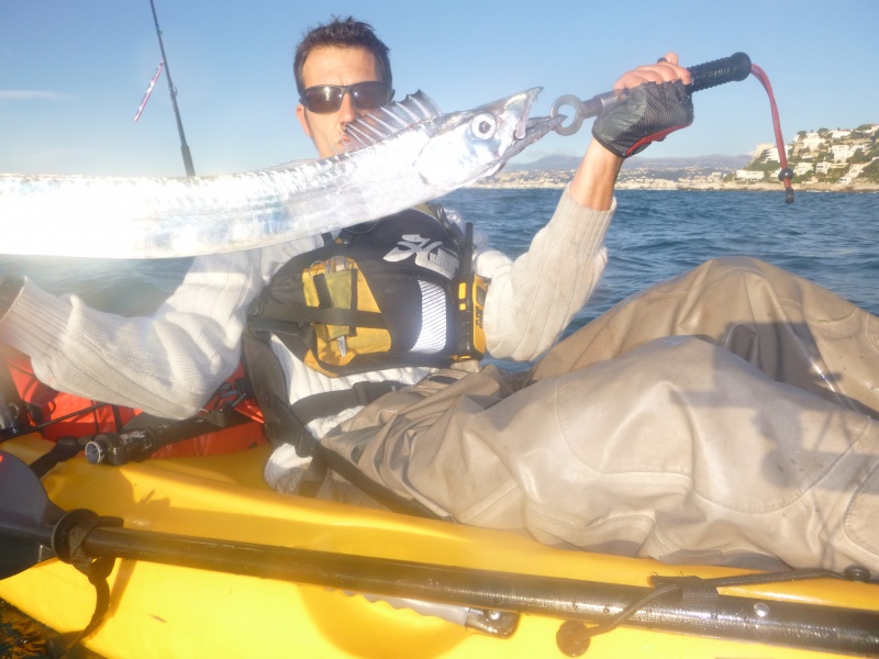 Beaux sabres pris en speed jigging par Fabien Harbers en kayak !