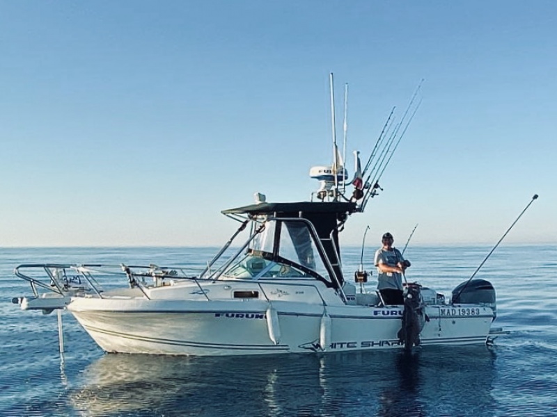 Pêche profonde d'un cernier au moteur Minn Kota