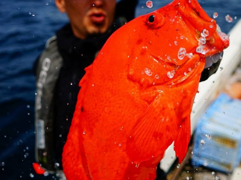 Les japonais sont férus de pêche !