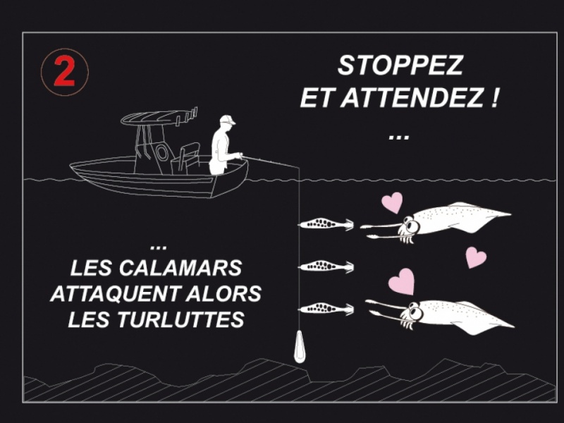 étape 2- schéma tataki avec bublin