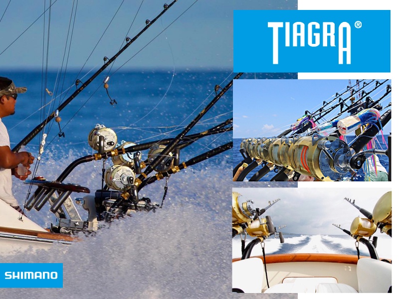 Le Shimano Tiagra bien plus qu’un moulinet !