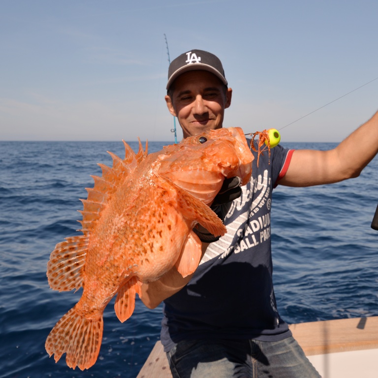 Ce chapon de presque 3 kg pris au madaï avec la Slow Pitch Italcanna est plus gros que le record de France !