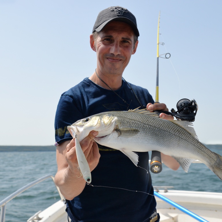Stickbaits : une pêche fun ! 