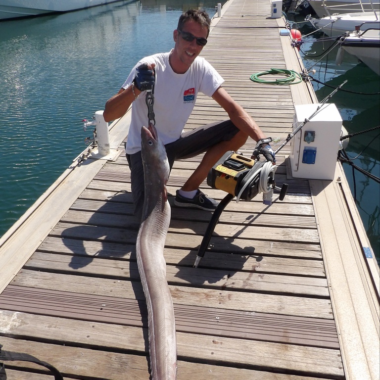Ce congre de grands fonds pris par Fabien Harbers avec le moulinet XL 611 Kristal Fishing fait prés de 2 m. Il faut savoir que cette espèce peut atteindre 3 m pour prés de 110 kg !