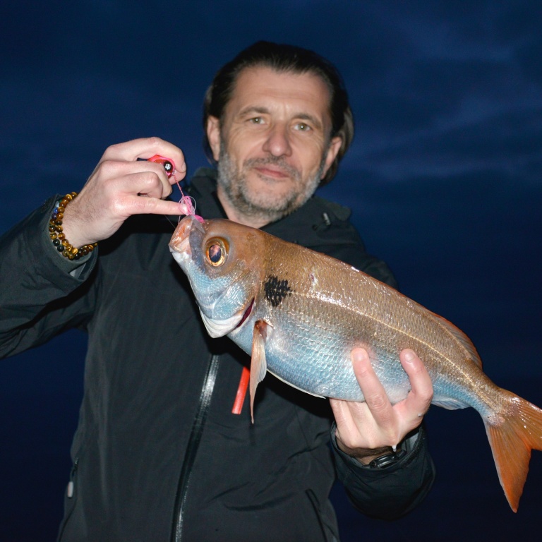 La dorade rose est un sparidé qui se pêche très bien aux leurres-appâts ! 